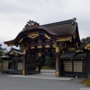 일본 세계문화유산 탐방기 오늘은 교토 니조성 (니조조) 둘러보기