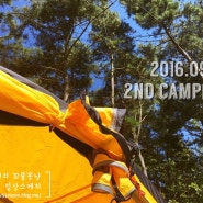 #2 [인천 선재도 트리캠핑장] 울가족 두번째 캠핑은 영흥도! 서울근교라 멀지않아 좋아요