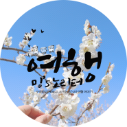 3월 꽃놀이, 광양 매화마을 청매실농원으로 마실다녀왔어용~