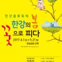 한강의 봄, 꽃으로 피다 - 2017년 한강 봄꽃 축