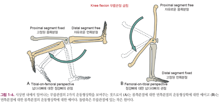 open-kinematic-chain-closed-kinematic