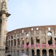 [유럽 여행/이탈리아 여행] 이탈리아 로마 여행 콜로세움, 콘스탄티누스 개선문 그리고 판도라 콜로세움 참