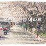 [사진여행]부산 벚꽃 명소/벚꽃 터널 - 온천천 한양 아파트 & 2017년 벚꽃 개화시기