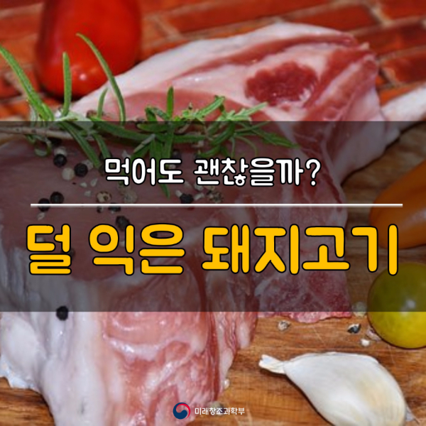 먹어도 괜찮을까? 덜 익은 돼지고기 : 네이버 블로그