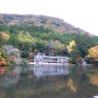 [여행] 일본 후쿠오카 유후인 여행 (Bella.ver) :: 가을이 내려앉은 긴린코 호수