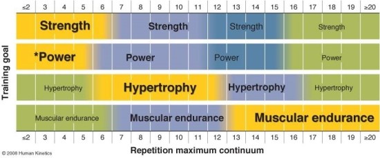 1RM( 1 Repetition Maximum ) 계산법 [웨이트,1RM계산법,대구pt,수성구pt,대구재활운동] : 네이버 블로그