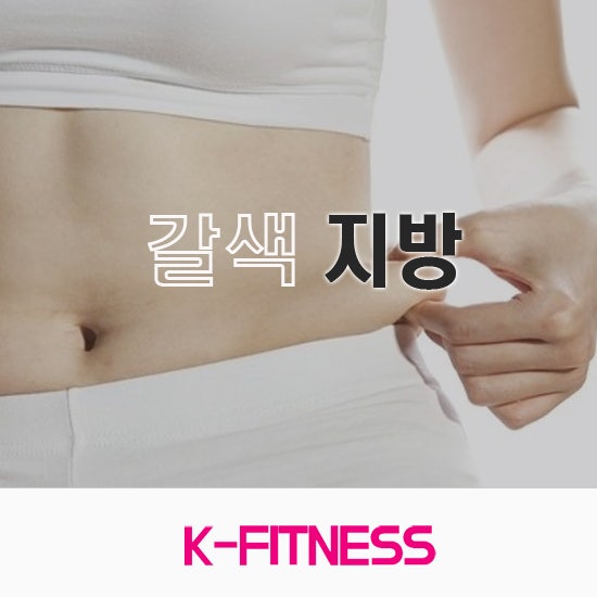 들어보았는가? 갈색지방!! 살안찌는 체질 만들어줄 갈색지방 활성화 : 네이버 블로그