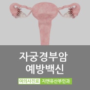 자궁경부암 예방 접종 - 영등포산부인과 지앤유산부인과