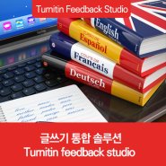 글쓰기 통합 솔루션 Turnitin feedback studio