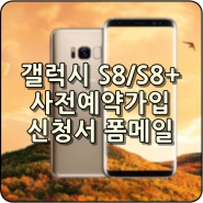 갤럭시 S8/S8+ 사전 예약가입 신청서 폼메일 제작