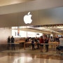 로비나 쇼핑센터 애플 스토어 아이폰 8 & 애플 와치 구경