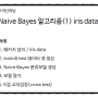 45. R Naive Bayes 알고리즘(1)