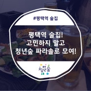 평택역 술집! 고민하지말고 청년숲 파라솔로 모여!