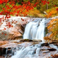 가을풍경사진 - 주왕산, 내장산 단풍시기