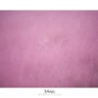 [경주]핑크뮬리#2