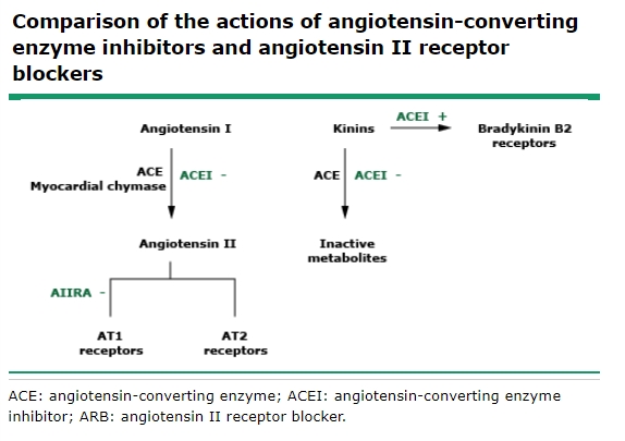 안지오텐신Ⅱ 수용체 차단제, AT2 수용체, Angiotensin II receptor blockers, AT2 ...