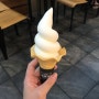 대전 세이백화점 백미당 즐겨먹는 우유 아이스크림 최고 : )