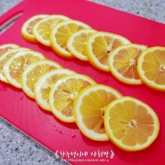 [다이어트 음식] 냉동실에 얼려두고 레몬디톡스! 씻는법부터 보관법까지 함께하는 레몬물 만들기