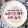 노엘라의 하루 ㅣ 우아하고 맛있는 다이어트 식단 시작!