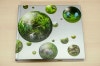 TAKASHI AMANO Nature Aquarium Complete Works 1985-2009