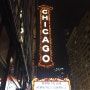 시카고 야경 / the night view of Chicago