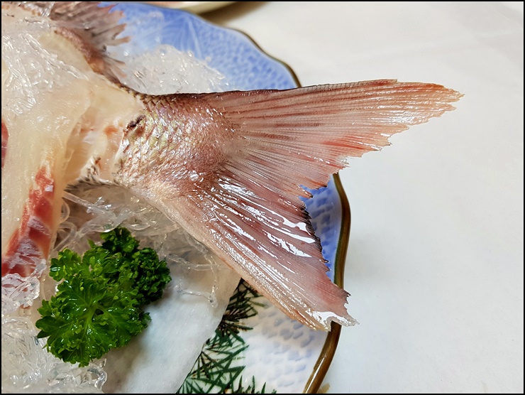 자연산 참돔과 양식산 참돔 : 네이버 블로그