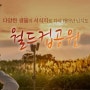 상암 하늘공원 억새축제를 다녀오다 (feat,월드컵공원)