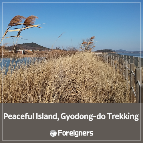 Peaceful Island, Gyodong-do Trekking : 네이버 블로그