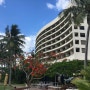 호주 케언즈 호텔 힐튼케언즈 Hilton Cairns Hotel