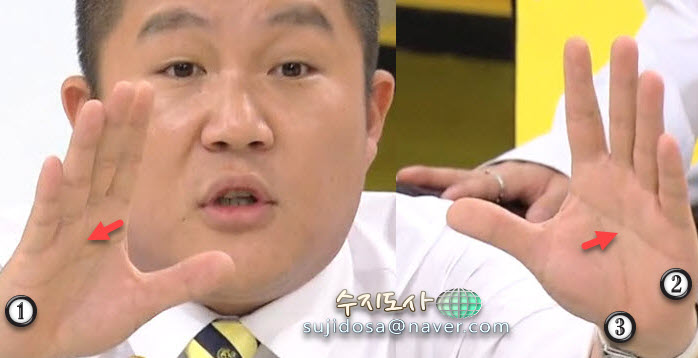수지도사가 보는 개그맨 조세호의 일자손금, 막쥔금 : 네이버 블로그