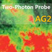 AG2, Two-Photon Probe