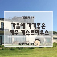 [가을에 가기좋은 제주 게스트하우스 best]제주도 게스트하우스 추천 :: 제주도 게스트하우스 추천 :: 가을여행지 추천