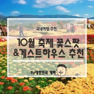 [10월 축제]10월에 놓칠수 없는 전국 꽃스팟 best! :: 가을 여행지 추천 :: 게스트하우스추천