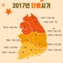 [생활정보] 2017년 전국 단풍시기