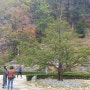 김형석 문화칼럼/강원도 가을 비경 속을 ‘소요유’하며...