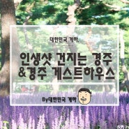 [가을 경주여행]경주 핑크뮬리, 경주 인생샷 건지는 핫플레이스 모음 :: 경주 게스트하우스 추천