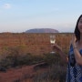 호주 아웃백 로드트립 9일차_Uluru 울룰루 sound of silence 투어