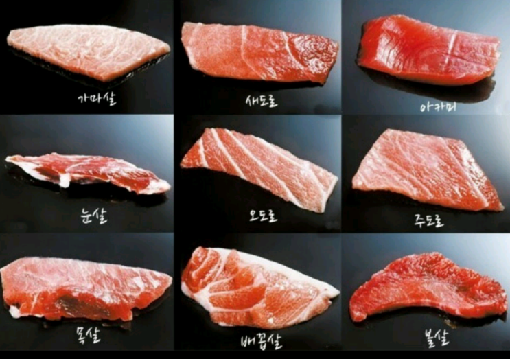 (펌) 참치회 종류 부위별로 맛나게 드세요^^ : 네이버 블로그