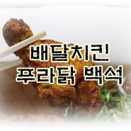 백석동배달 : 백석동치킨 : 푸라닭치킨