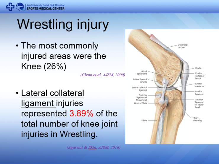 외측 측부인대 손상(LCL injury) : 네이버 블로그