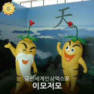 2017 금산세계인삼엑스포 이모저모
