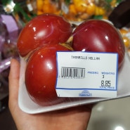 타마릴로/Tamarillo hollan/Tree tomato