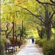 가을이 더욱 아름다운 선유도공원