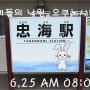 [6월 도쿄~큐슈 여행] 6.25 11일차 히로시마현 토끼들의 낙원, 오쿠노시마(大久野島)