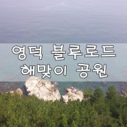 영덕가볼만한곳 푸른 동해가 보이는 해맞이 공원