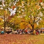 11월 강원도 축제 가을에 가볼만한 곳 소개합니다!