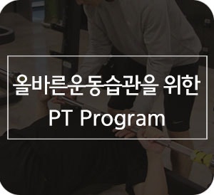 울산헬스 웰핏 PT Program : 네이버 블로그