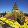 제14회 익산 천만송이 국화축제 익산중앙체육공원 꽃축제