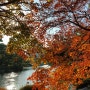 가을 단풍이 화사한 호숫가