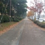 가을아침 산책